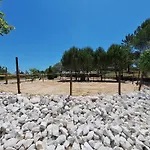 Casa Dani Private Studio'S, Tomar Alojamento de Acomodação e Pequeno-almoço 3*