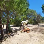 Alojamento de Acomodação e Pequeno-almoço Casa Dani Private Studio'S, Tomar 3*
