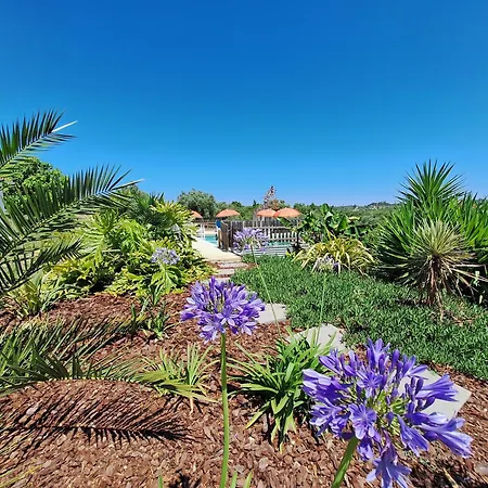 Casa Dani Studio's, Tomar Carregueiros