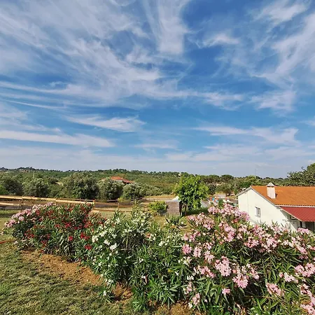 Casa Dani Studio's, Tomar Carregueiros