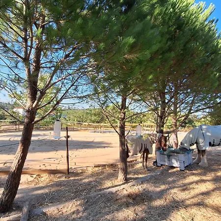 Bed & Breakfast Casa Dani Studio's, Tomar