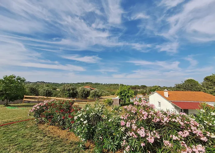 Casa Dani Studio's, Tomar Carregueiros