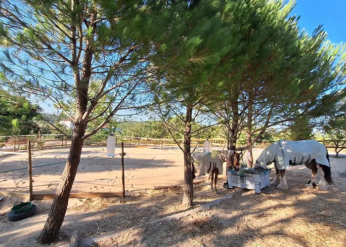 Bed & Breakfast Casa Dani Studio's, Tomar