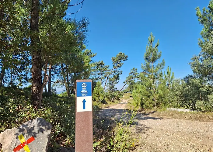 Bed & Breakfast Casa Dani Studio's, Tomar